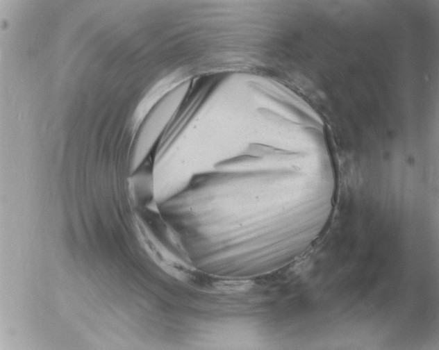 X0000054440051200508270023