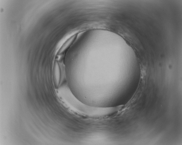 X0000054440052200508270023