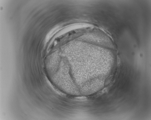 X0000054440053200508270023