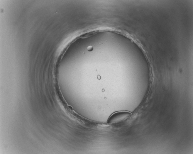 X0000054440055200508270023