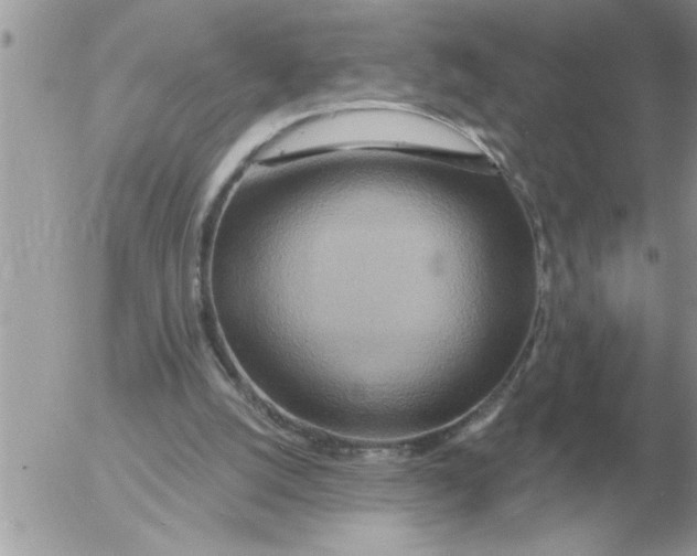 X0000054440056200508270023