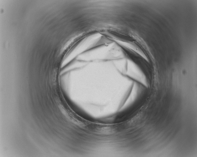 X0000054440058200508270023