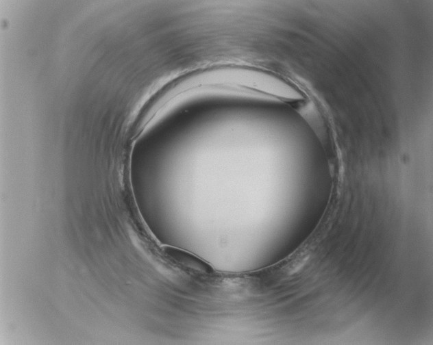 X0000054440060200508270023