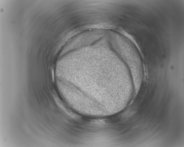 X0000054440061200508270023