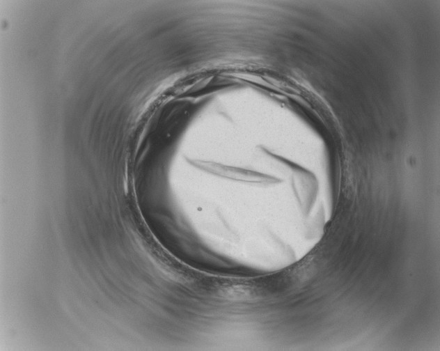 X0000054440062200508270023