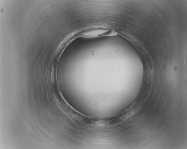 X0000054440064200508270023