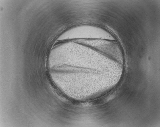 X0000054440065200508270023