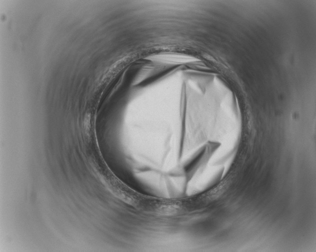 X0000054440066200508270023