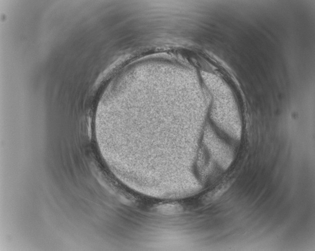 X0000054440067200508270023