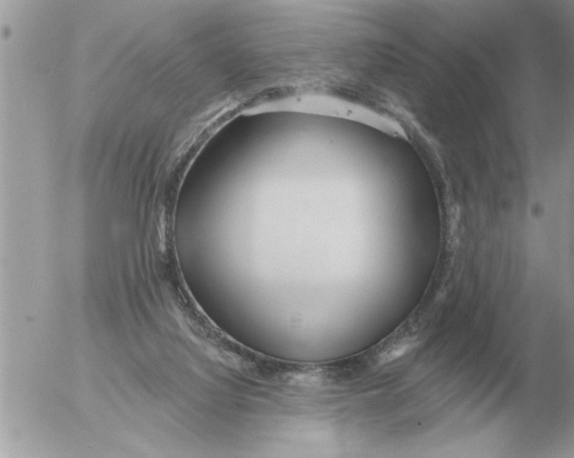 X0000054440068200508270023