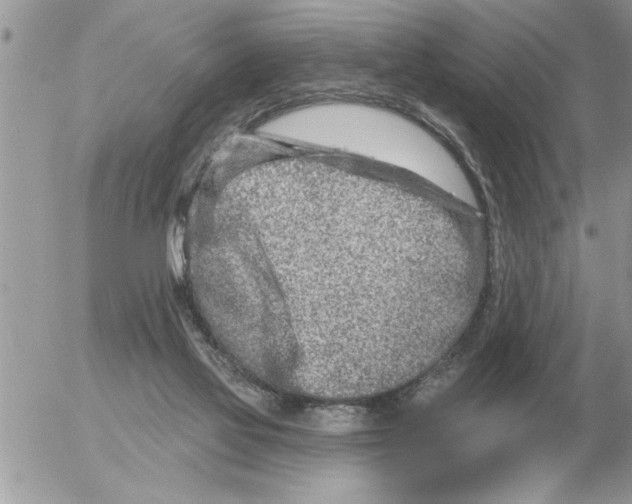 X0000054440069200508270023