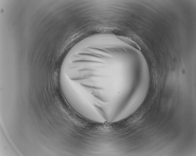 X0000054440071200508270023