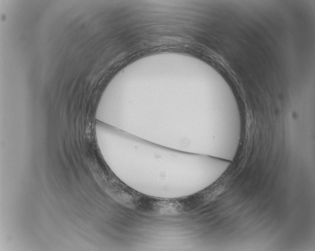 X0000054440073200508270023