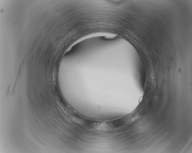 X0000054440074200508270023