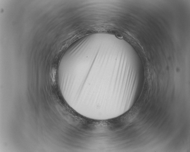 X0000054440075200508270023