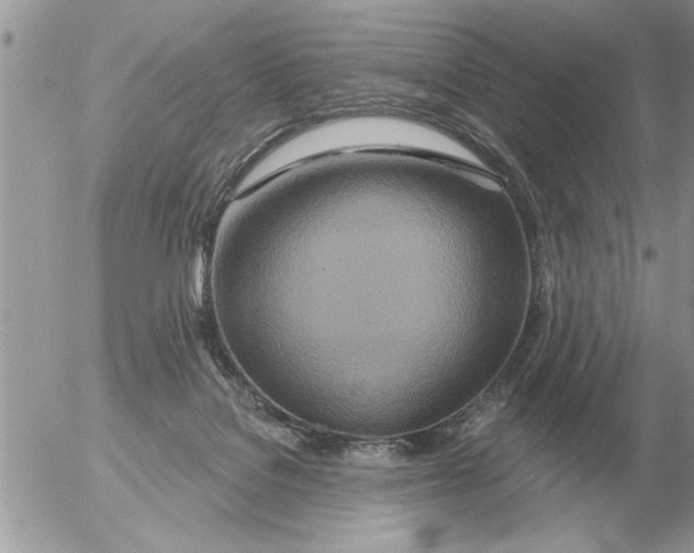 X0000054440076200508270023