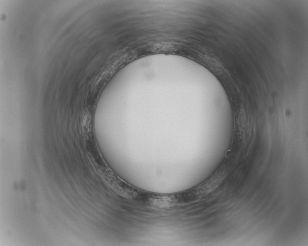 X0000054440079200508270023