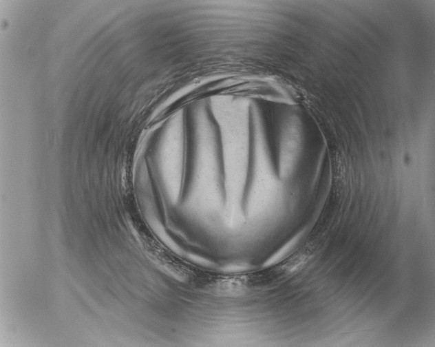 X0000054440080200508270023