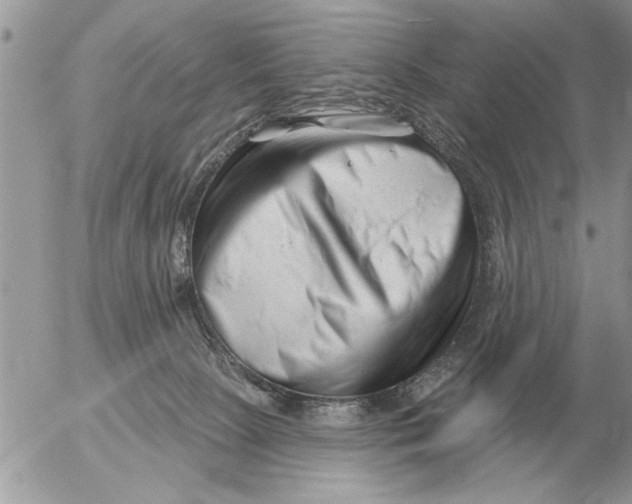 X0000054440081200508270023