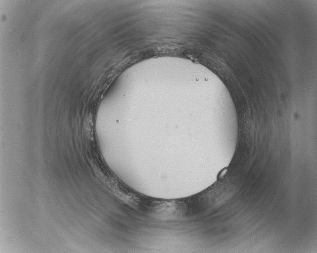 X0000054440083200508270023