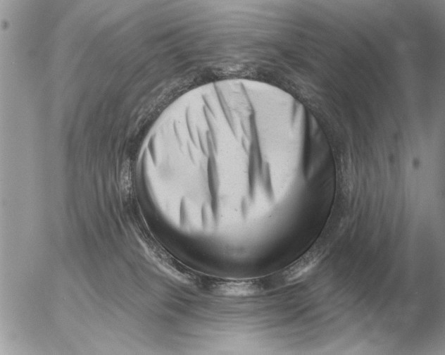 X0000054440085200508270023