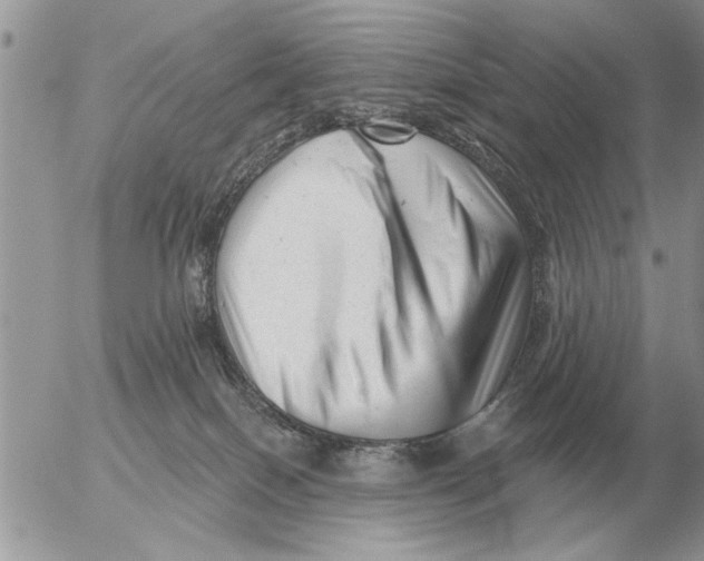 X0000054440086200508270023