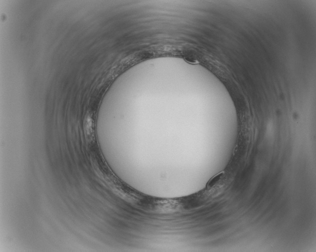 X0000054440087200508270023