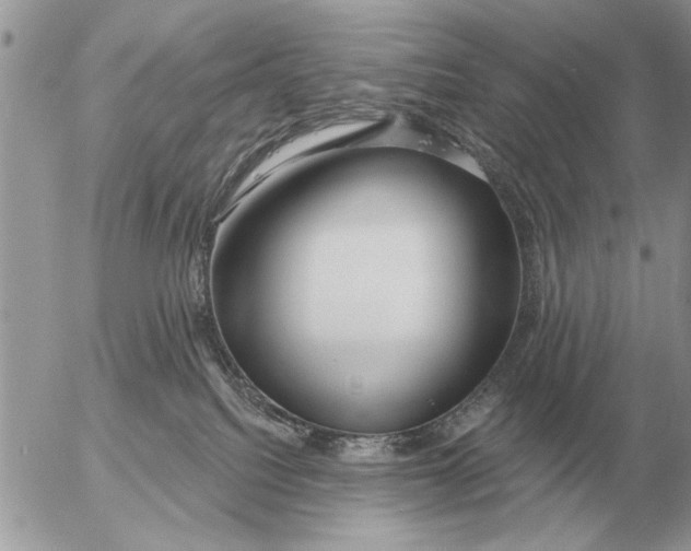 X0000054440088200508270023