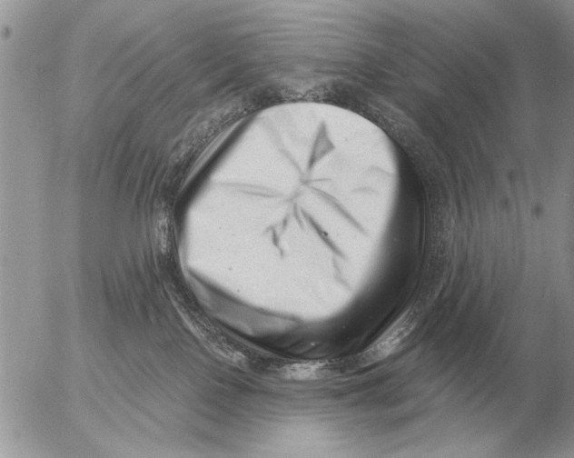 X0000054440090200508270023