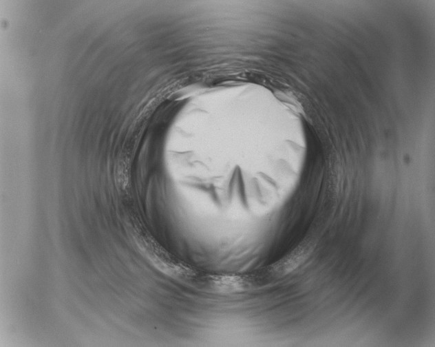 X0000054440091200508270023