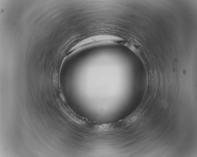 X0000054440092200508270024