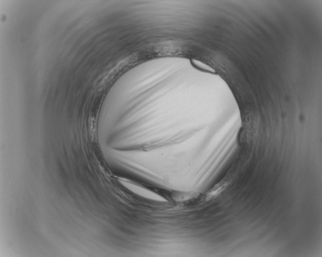 X0000054440093200508270024