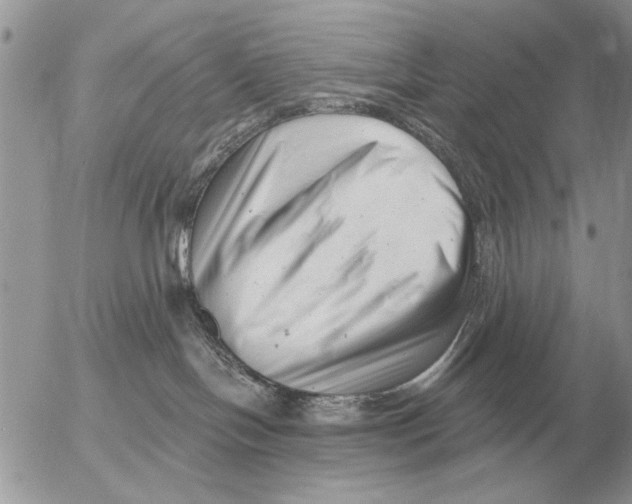 X0000054440094200508270024