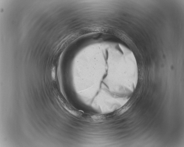 X0000054440095200508270024