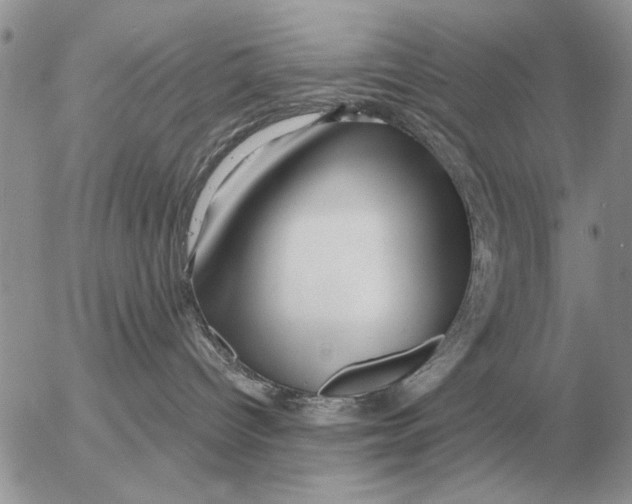 X0000054440096200508270024