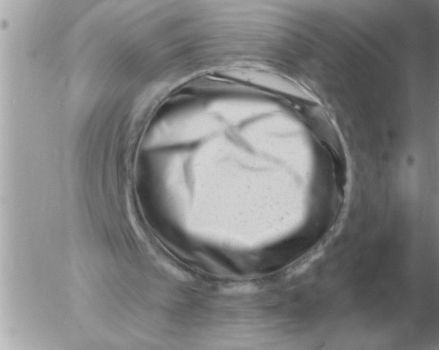 X0000054440097200508270023