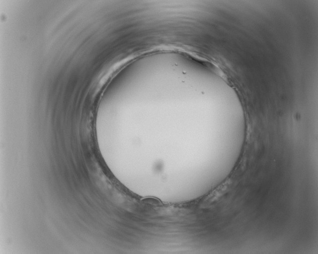 X0000054440098200508270023