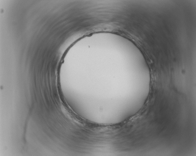 X0000054440100200508270023