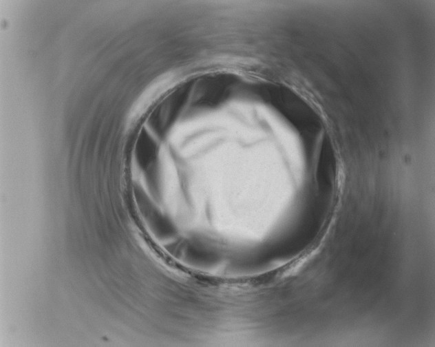 X0000054440101200508270023