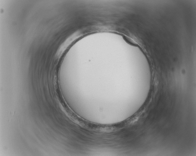 X0000054440103200508270023