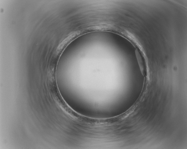 X0000054440105200508270023