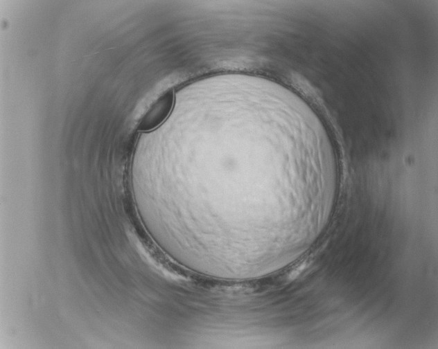 X0000054440106200508270023