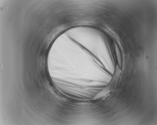 X0000054440107200508270023