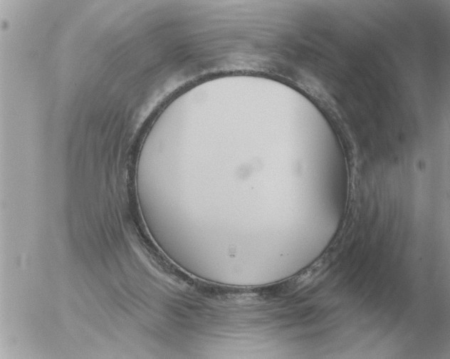 X0000054440108200508270023