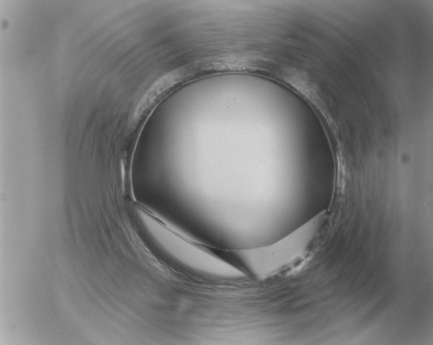 X0000054440109200508270023