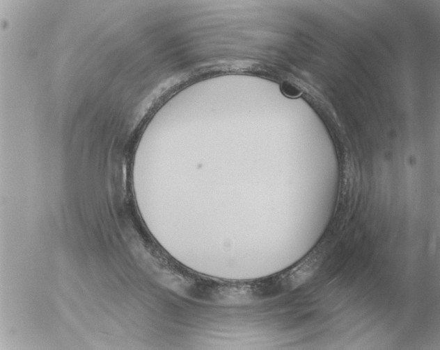 X0000054440110200508270023