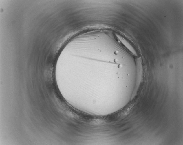 X0000054440111200508270023