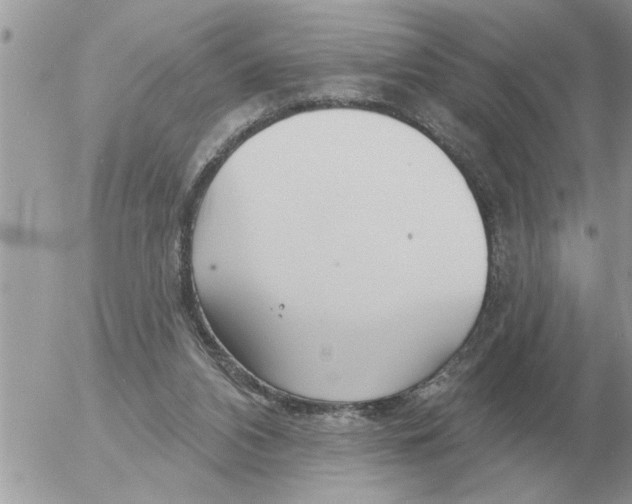 X0000054440112200508270023