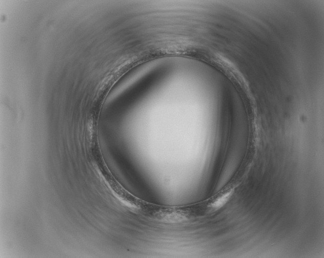 X0000054440113200508270023