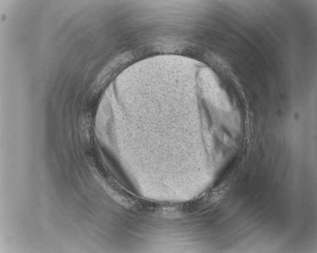 X0000054440114200508270022